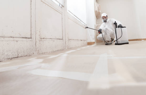 24/7 Emergency Mold Remediation experts in Terra Ceia, FL